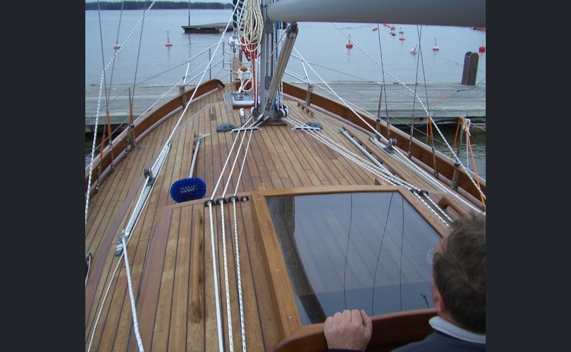 Scylla Suurscylla-kuva-5